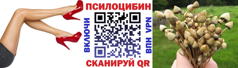 Галлюциногенные грибы ЛСД Динская