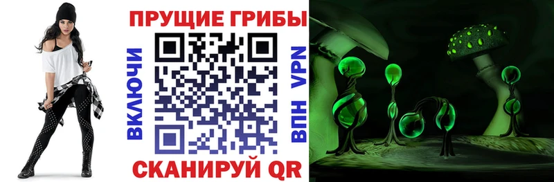Галлюциногенные грибы мицелий  наркошоп  Динская 